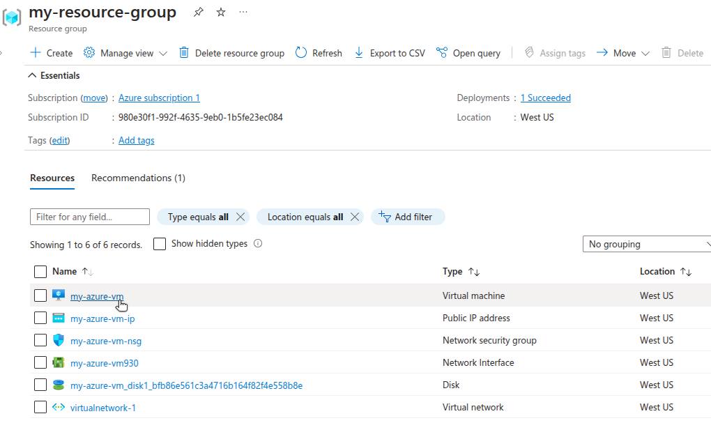 Azure Resource Group with a VM listed among its resources.