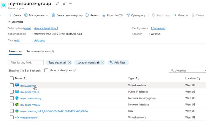 Azure Resource Group with a VM listed among its resources.