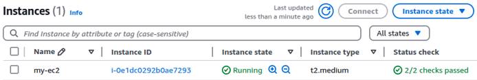 EC2 instance details showing instance ID and instance type.