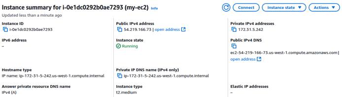 AWS EC2 instance summary showing public and private IP addresses.