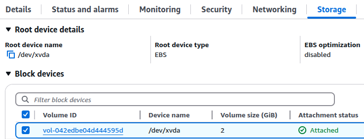 AWS EC2 instance details page with the Storage tab selected.