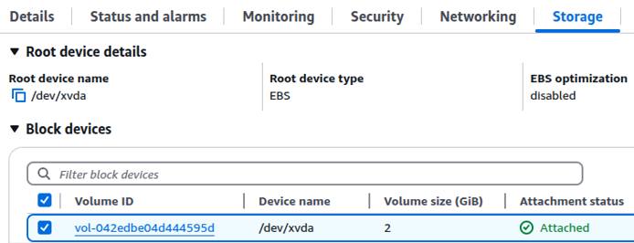 AWS EC2 instance details page with the Storage tab selected.