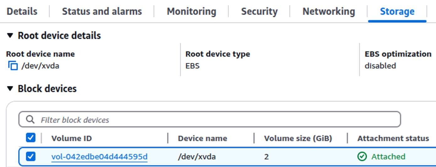 AWS EC2 instance details page with the Storage tab selected.