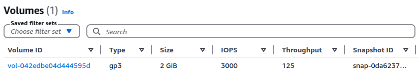 EBS volume details showing volume type and size.