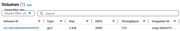 EBS volume details showing volume type and size.
