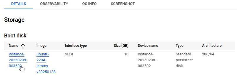 GCP storage section showing list of disks for the VM.