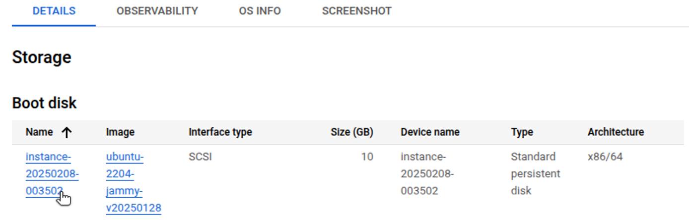 GCP storage section showing list of disks for the VM.
