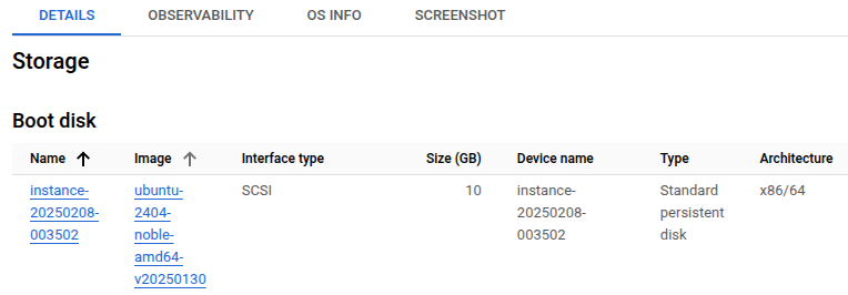 GCP VM storage section showing the boot disk type and size.