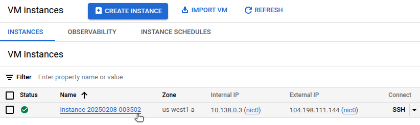 Details page for a selected Compute Engine VM instance.