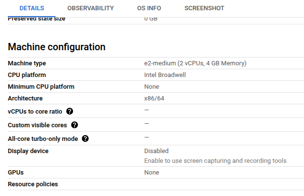 GCP VM details page showing the Machine configuration section with machine type.